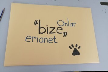 SOKAK HAYVANLARINI KORUMA KULÜBÜ ÇALIŞMALARIMIZ