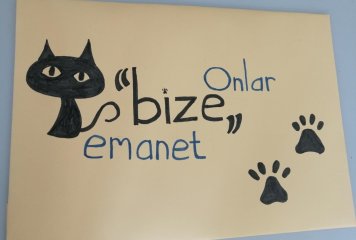 SOKAK HAYVANLARINI KORUMA KULÜBÜ ÇALIŞMALARIMIZ